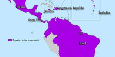 Bản đồ của jamaica zika